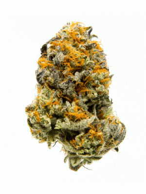 Divine Jelly HHC Flower Indoor 23% (NEW)