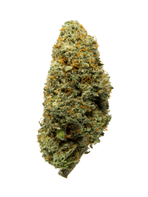 Grape Runtz HHC Flower Indoor 24% (NEW)