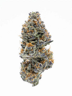 Sunset Sherbet HHC Flower Indoor 23%