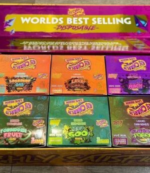 Wonka Disposable Box (100)